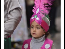 Carnaval de Mula 2014
